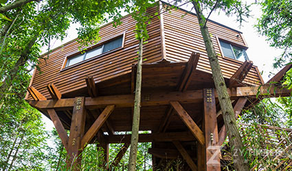 Qiyun Tree House World In Huangshan